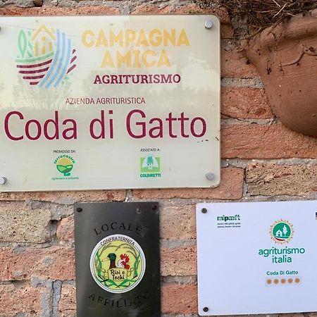 Agriturismo Coda Di Gatto Eraclea 外观 照片